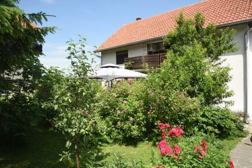 Hostal Apartment And Rooms Dedine Golubac