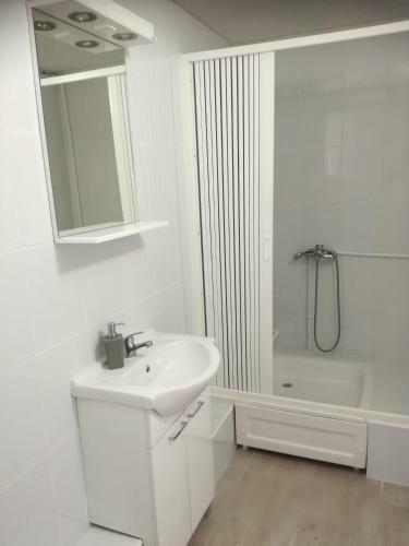 Hostal Apartment And Rooms Dedine Golubac