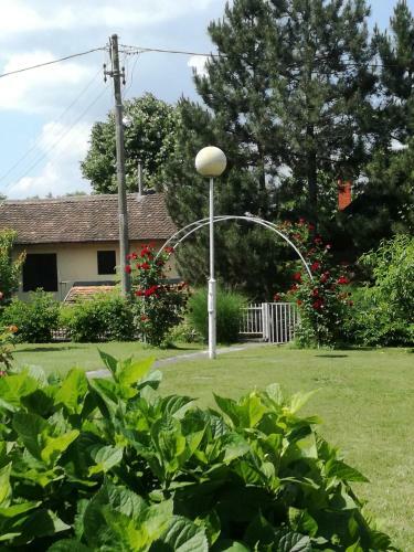 Hostal Apartment And Rooms Dedine Golubac