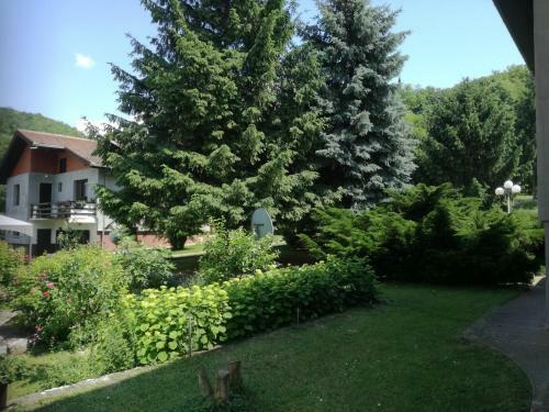 Hostal Apartment And Rooms Dedine Golubac