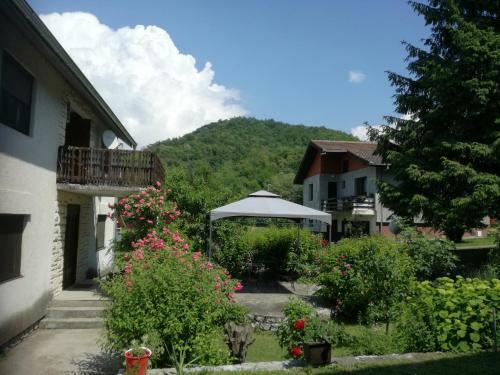 Hostal Apartment And Rooms Dedine Golubac