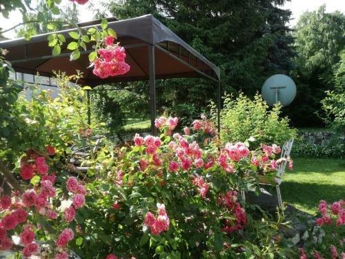 Hostal Apartment And Rooms Dedine Golubac