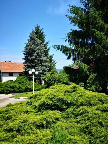 Hostal Apartment And Rooms Dedine Golubac