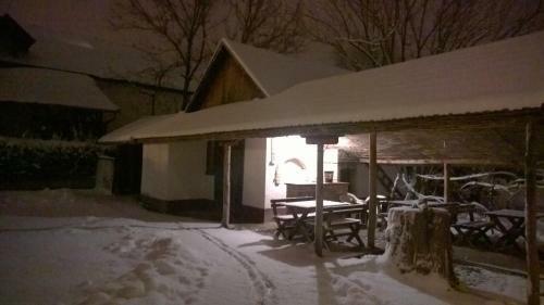Bed & Breakfast Vila Regina
