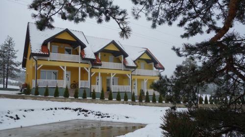 Villa Ducic