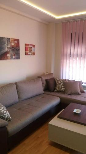 Apartman Vojin