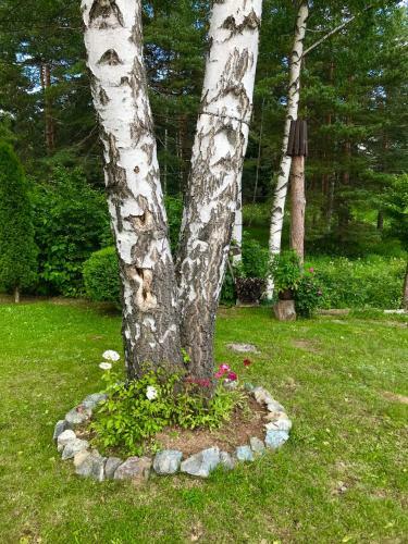 Apartmani Micic