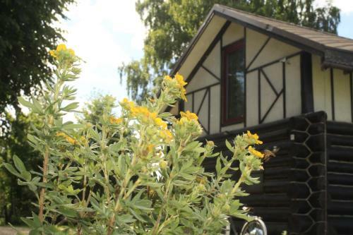Agroturismo Chalet Zavidovo Golf