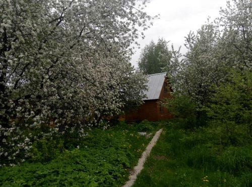 Hostal Gostevoi Dom Na Volge