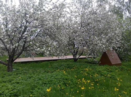 Hostal Gostevoi Dom Na Volge