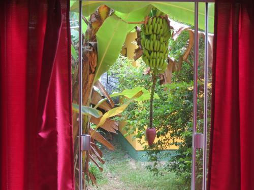 Solar Vov� Emma House