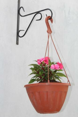 Hostal Guest House Eva