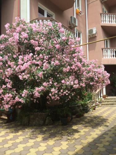 Posada Irina Guest House