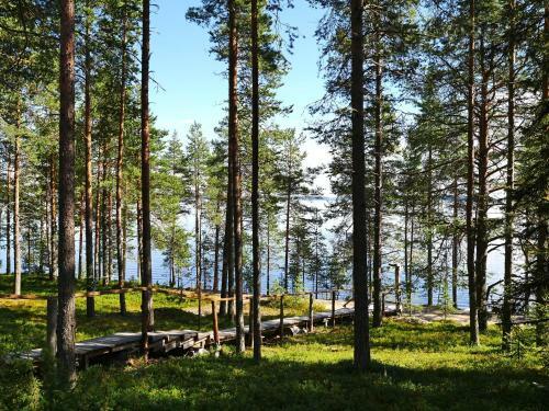 Cottage Complex Welt