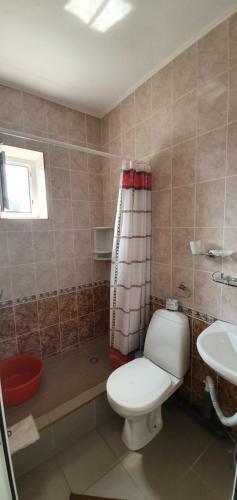 Posada Mini-hotel Ani