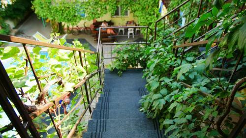 Posada Mini-hotel Ani