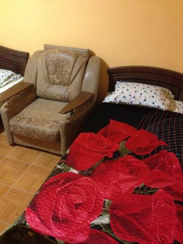 Posada Guest House Arisha