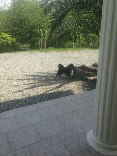 Hostal Guest House Karden