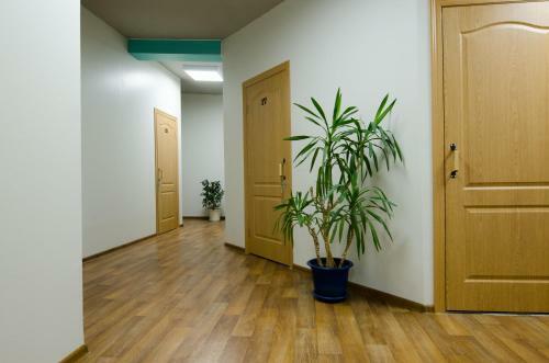 Hostel Vozduh