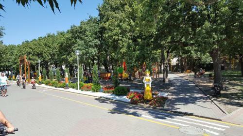 Hotel Darya