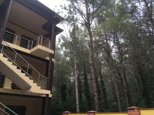 Hostal Nika Guest House