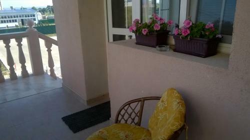 Hostal Viking Guest House