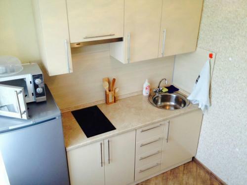 Apartment On Timiryazeva 42