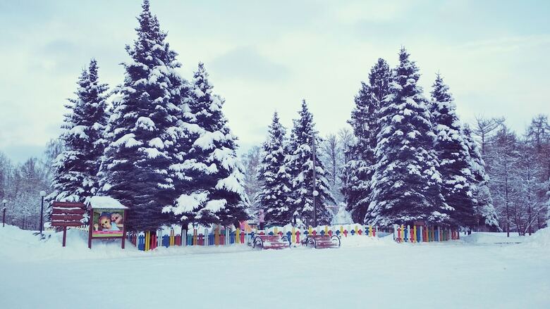 Hotel Foresta Festival Park
