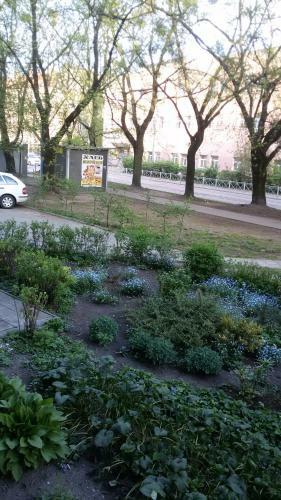 Apartments On Bagrationa