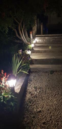 Hostal Guest House Mona Liza