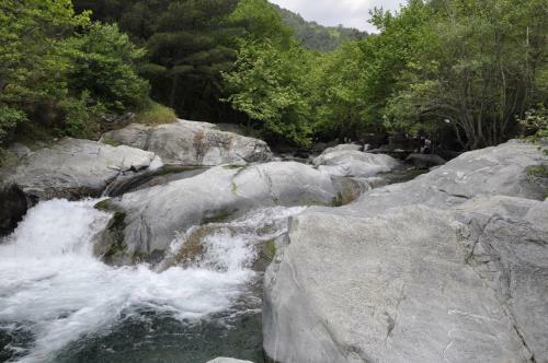 Hostal Misanli Pansiyon
