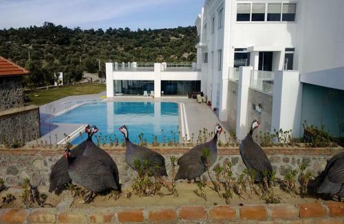 Hotel Merada Termal Tatil Koyu