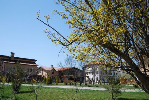 Hotel Iksir Resort Town
