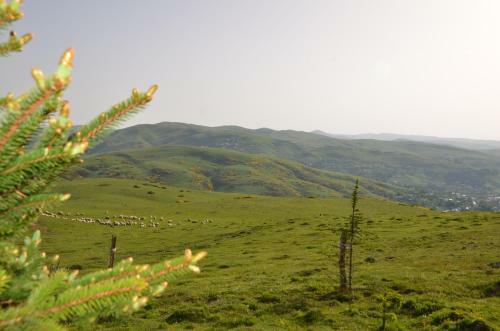 Hotel Belen Yayla Otel