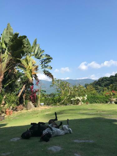 Bed & Breakfast Wisdom Garden Home Stay