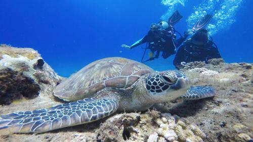 Stay Liuqiu Diving Hostel