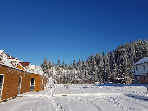 Lodge Dream Forest