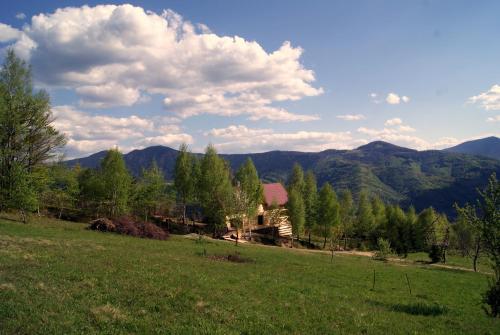 Hostal Rakhiv Plai