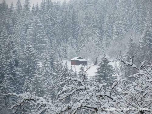 Hostal Pid Yasenem