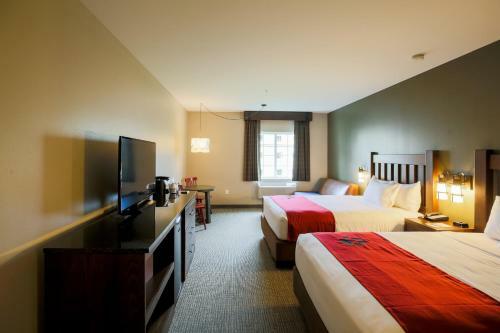 Hotel Great Wolf Lodge Chicago/gurnee