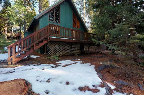 Pine Paradise
