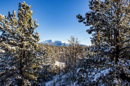 Cougar Chalet