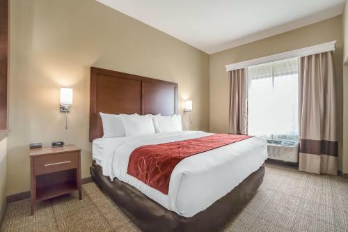 Hotel Comfort Suites Billings
