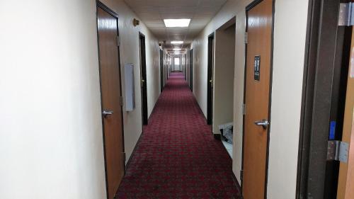 Hotel Red Carpet Inn - Windom