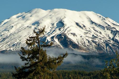 Hotel Lone Fir Resort