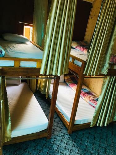 Bed & Breakfast Green Hill Hostel & Tour