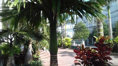 Hostal Tic Guest House