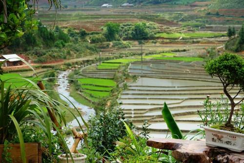 Mu Cang Chai Eco Lodge