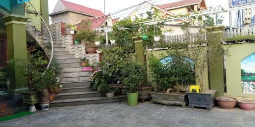 Backpackers Hotel