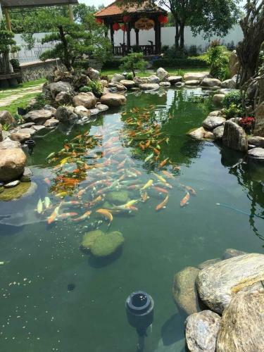 Hotel Qu? Anh